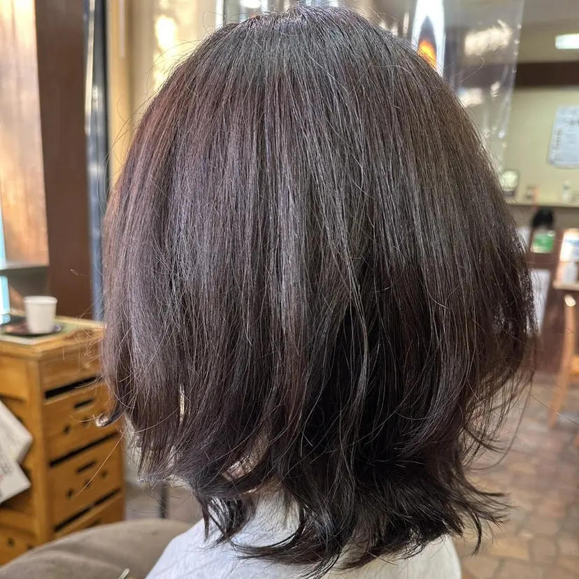 島岡 茉生の掲載