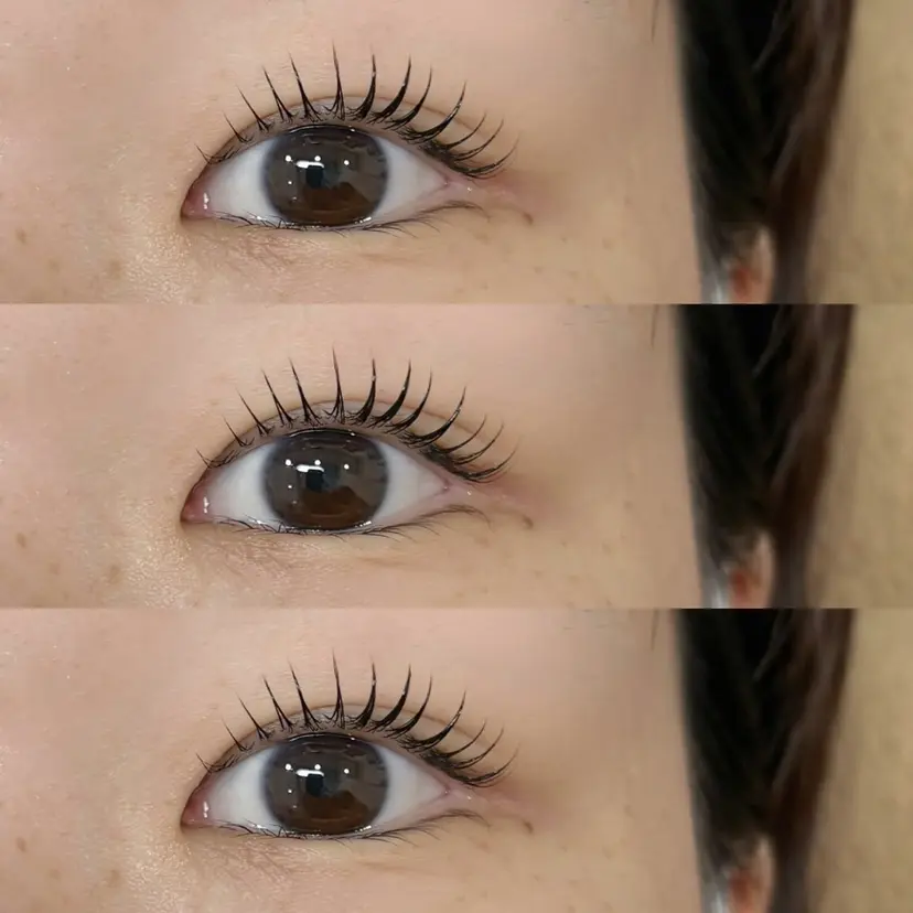 signpost 🕊️小林の掲載