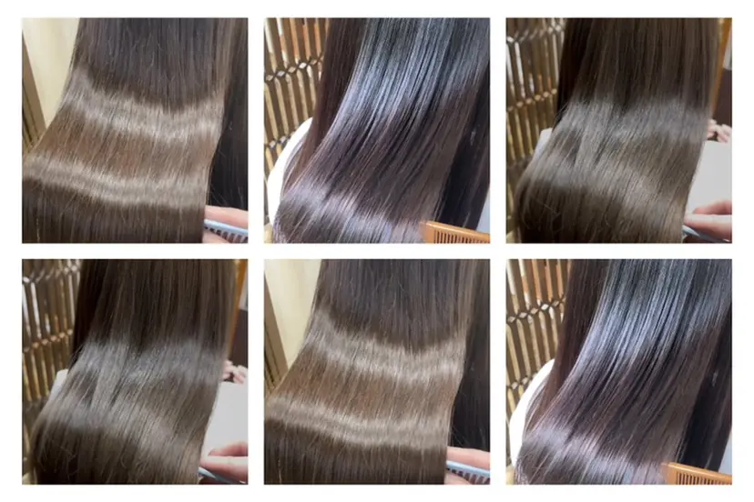 長谷川 朋樹の掲載