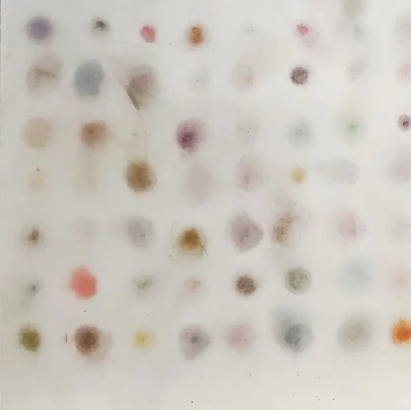 Luna- shigaの掲載