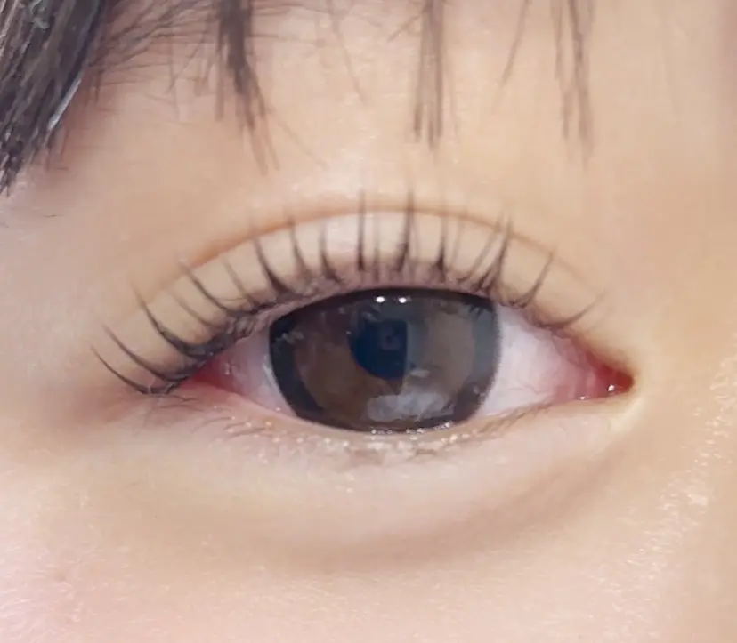 トコロ ミレイの掲載