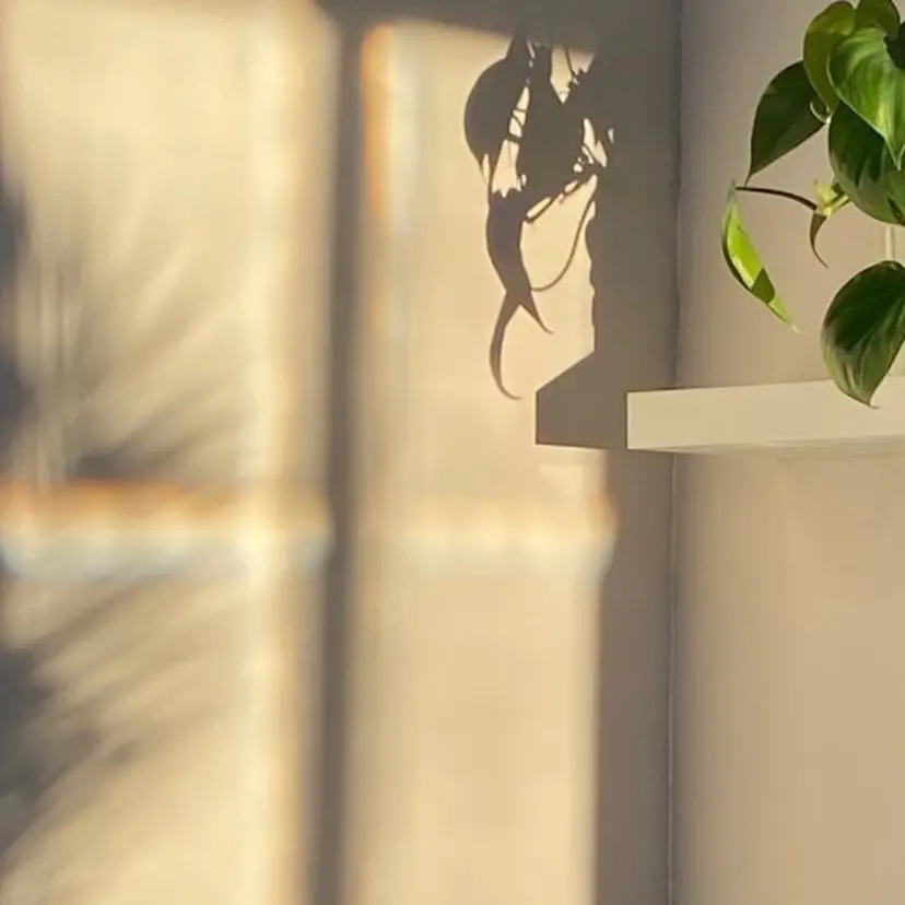 mignon  . hinaの掲載