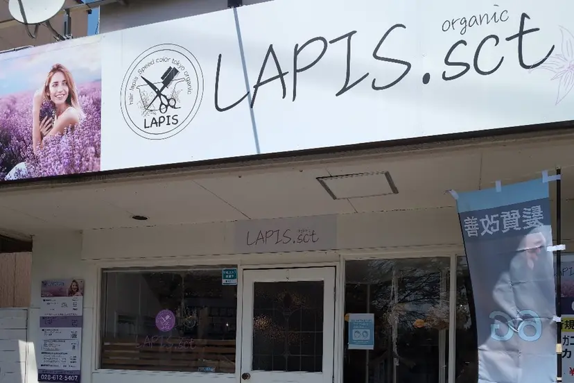 椎橋 美帆野の掲載