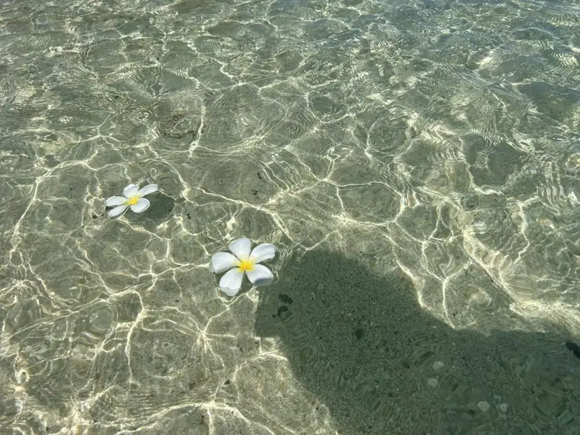 有薗 こころの掲載