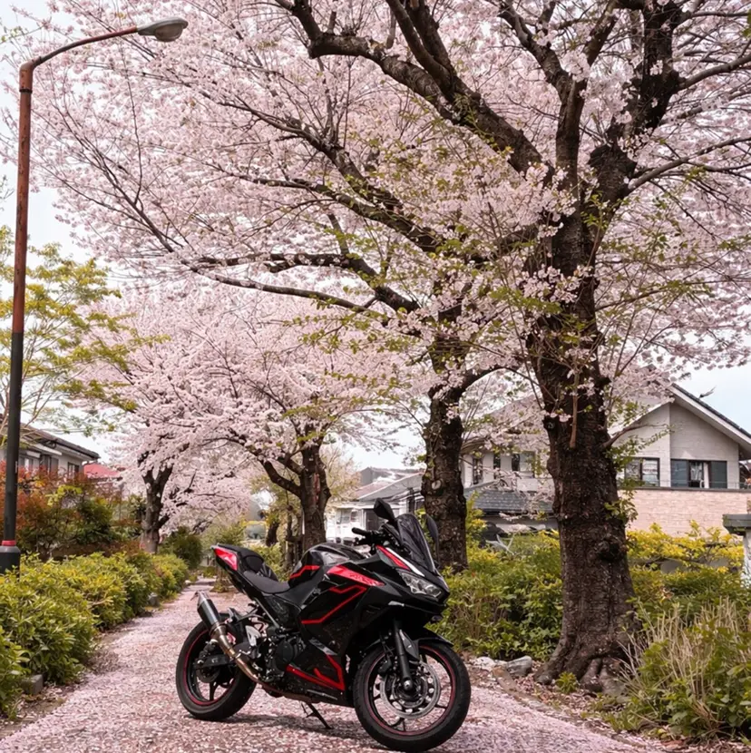 井上 慈温の掲載