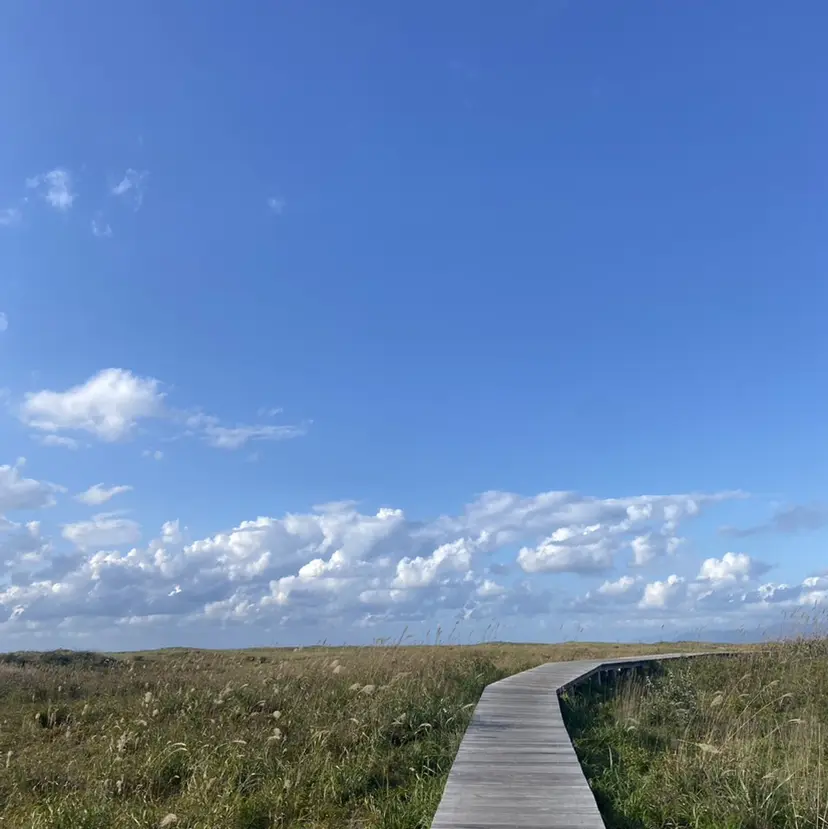 💈Renma💈 【fade】必見‼️の掲載