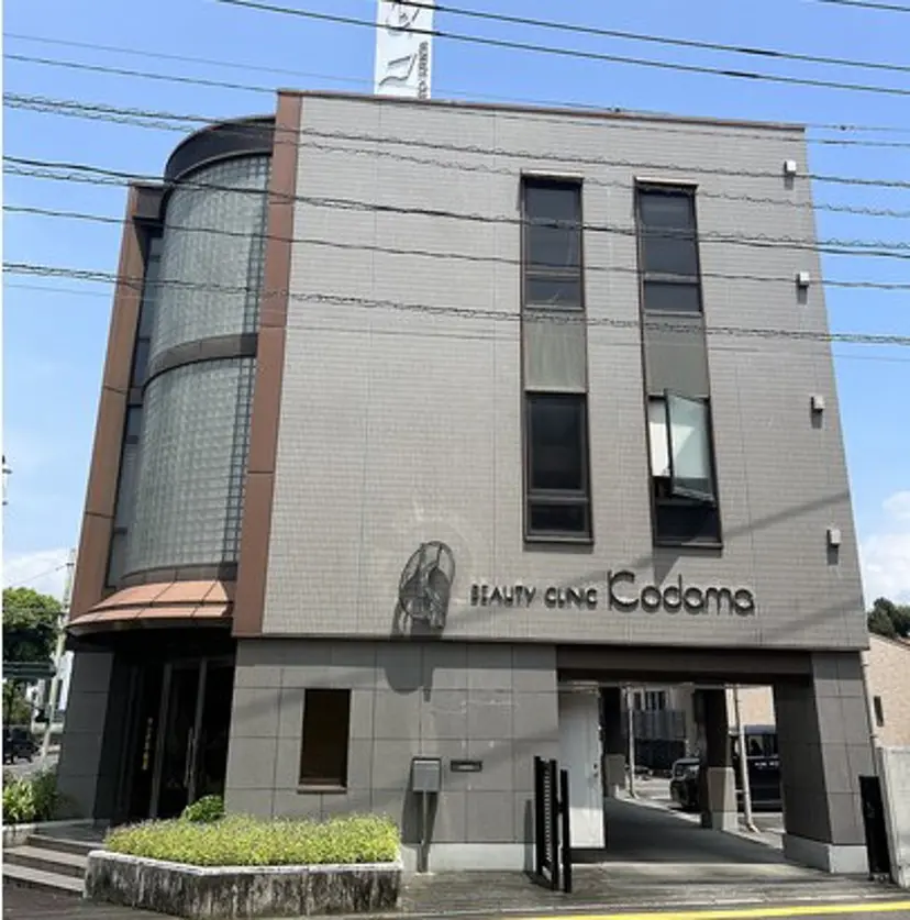 田中 志穂の掲載