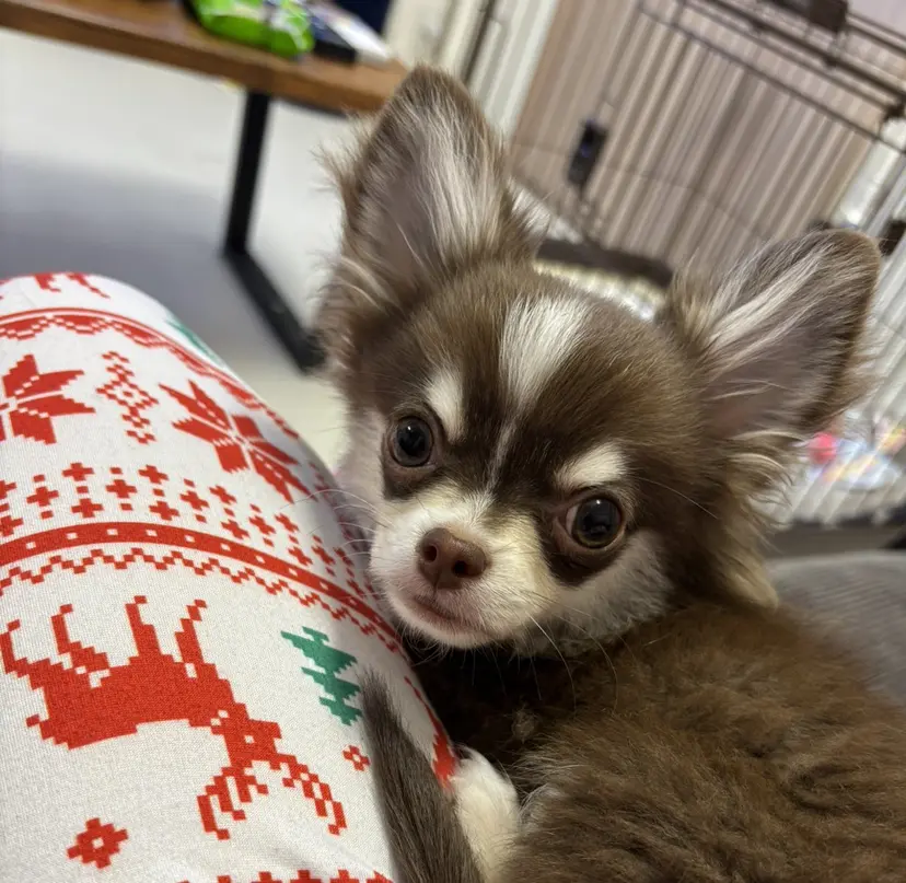 yuki ⌇ リザボーテ八王子店の掲載