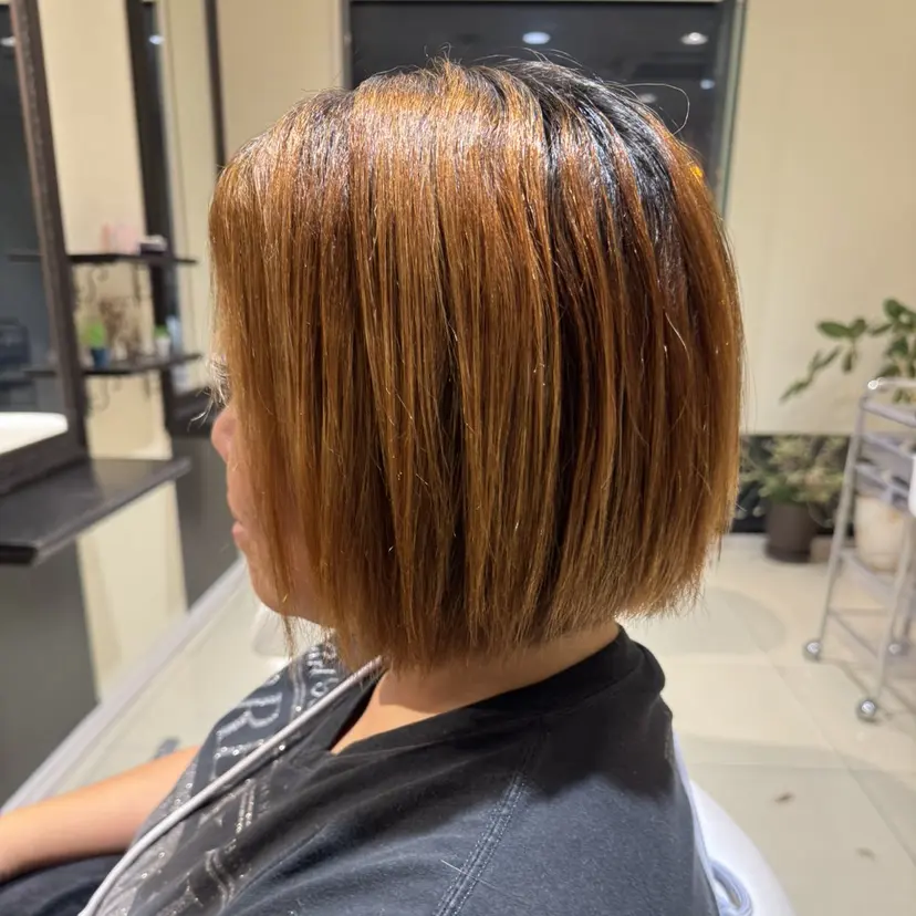 白井 早苗の掲載