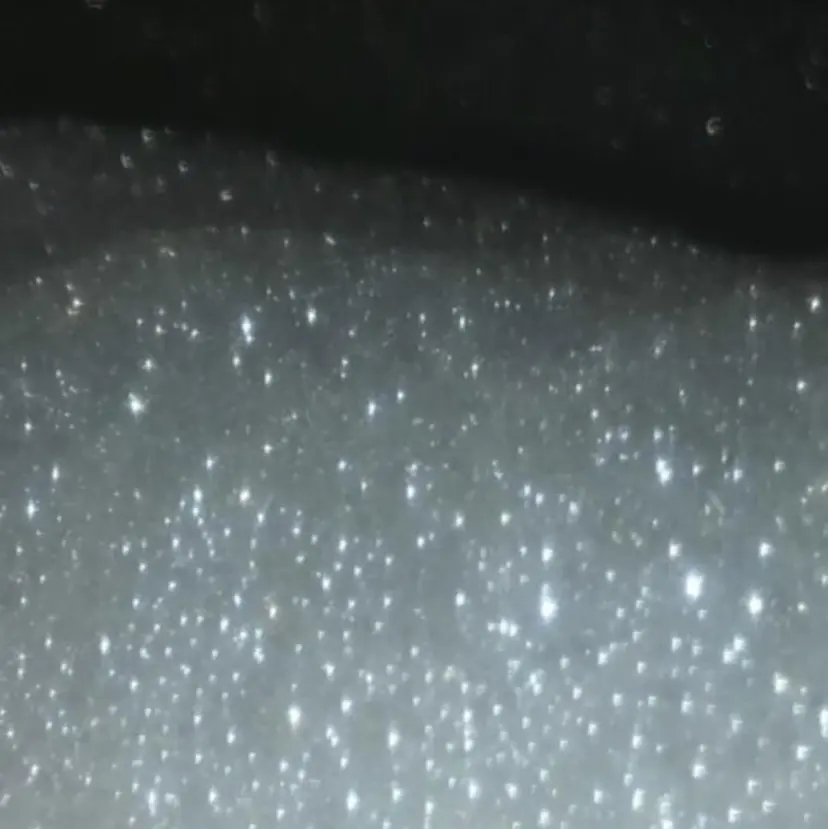 デザインカラー 🎀REINA🎀の掲載