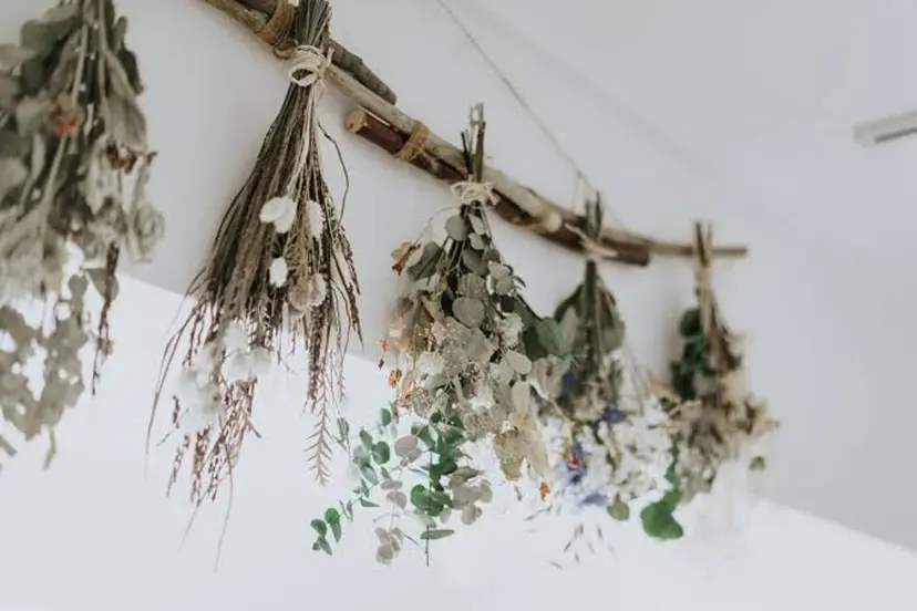 WHITE EYE 下田の掲載