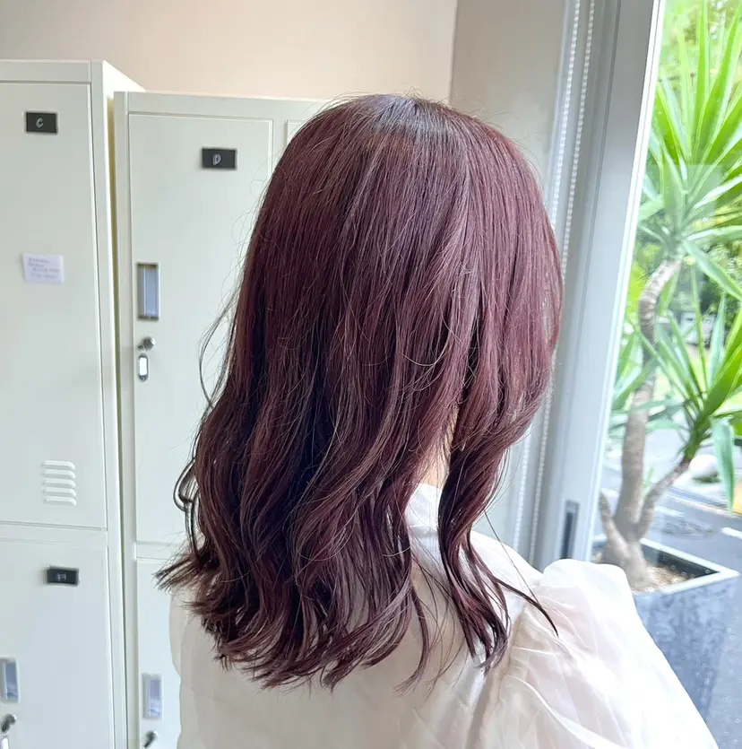 丹田 龍輔の掲載