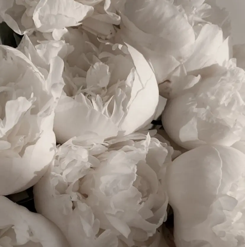 🎀 minion 赤羽 Nanaの掲載