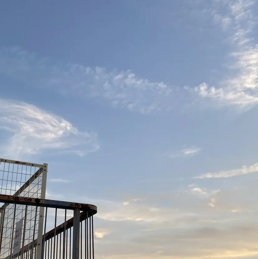 長谷川 絵美の掲載