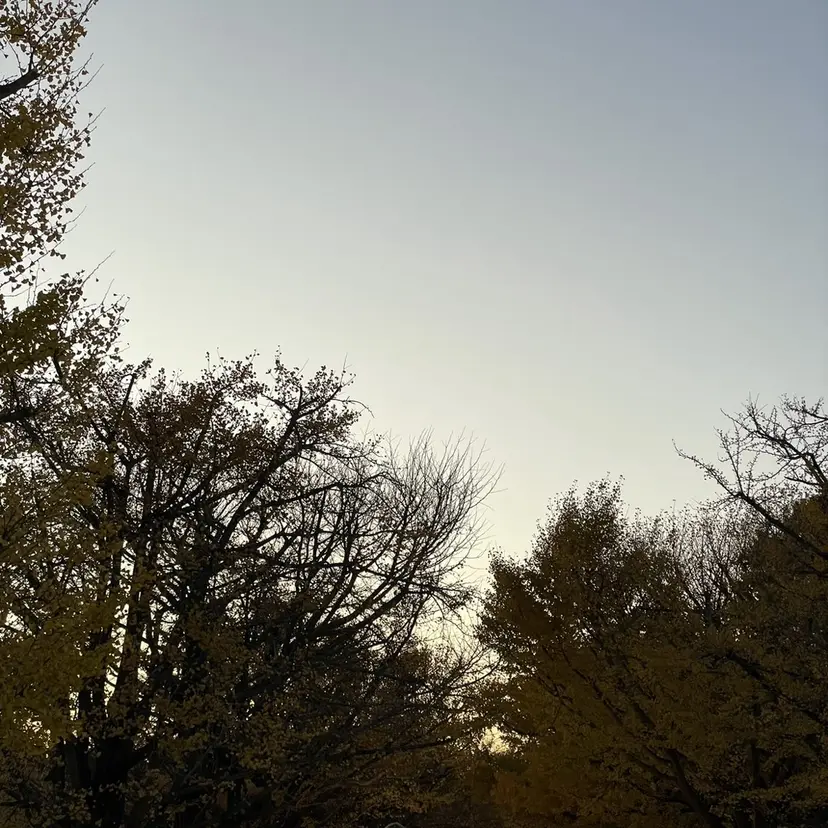 暗髪カラー/艶カラー /ヘアセットの掲載