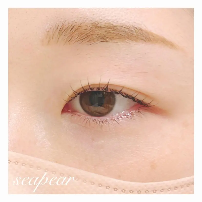 井上 智絵の掲載