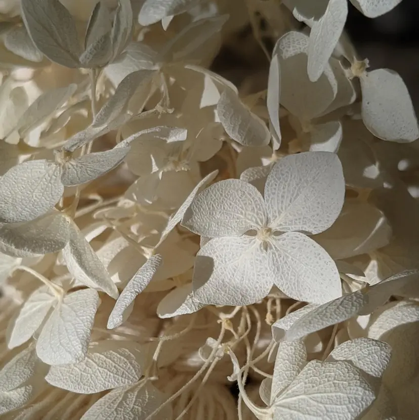 岡田 萌々香の掲載