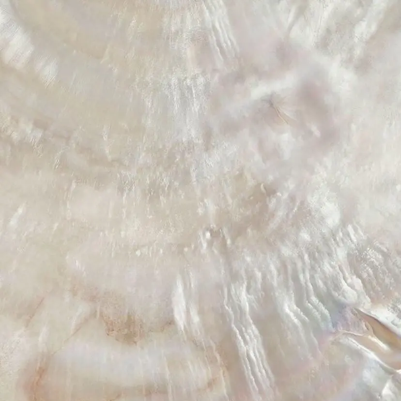 小磯 維織の掲載