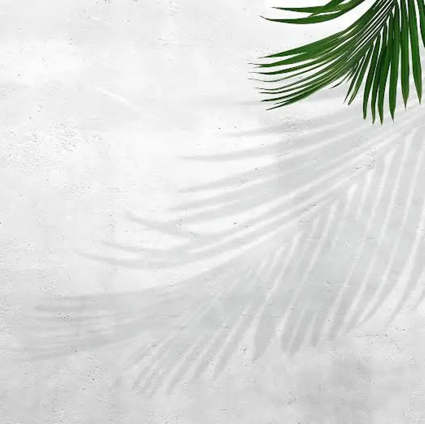 米田 瑠夏の掲載