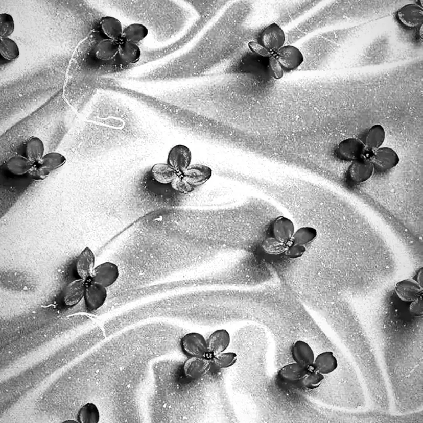 Address maiの掲載