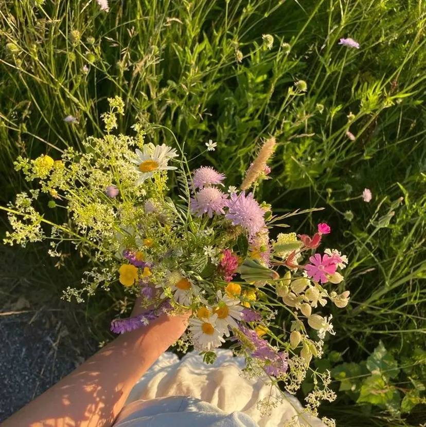 Rena colore'の掲載