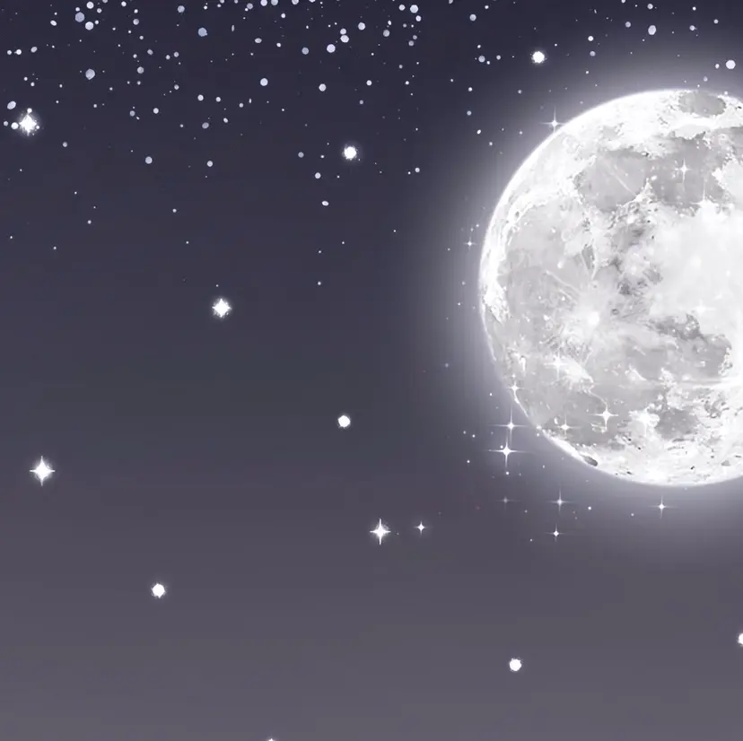 野口 結莉奈の掲載