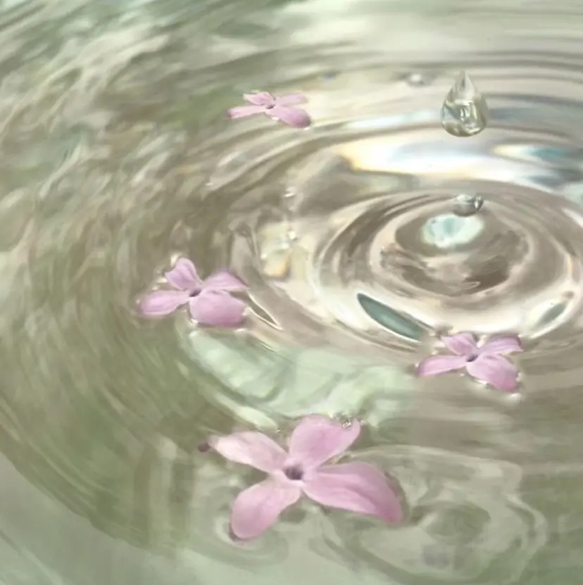 岩澤 さくらの掲載