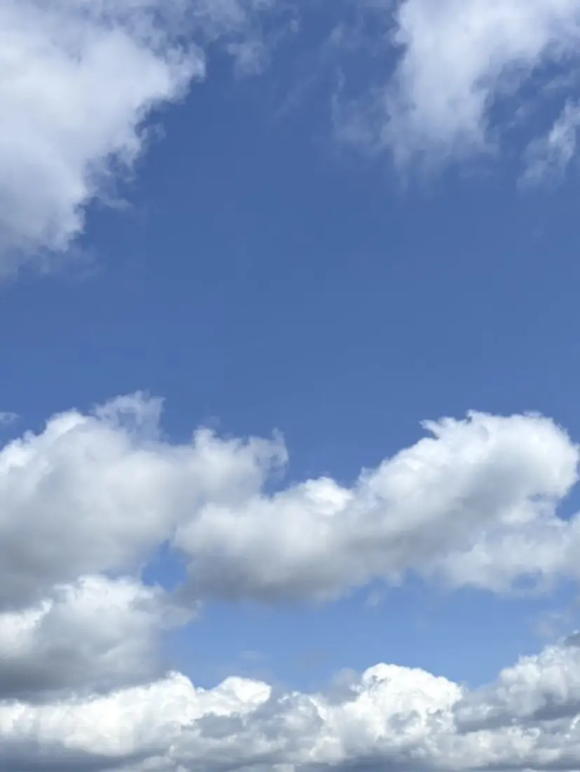 NailSalon Mapleの掲載