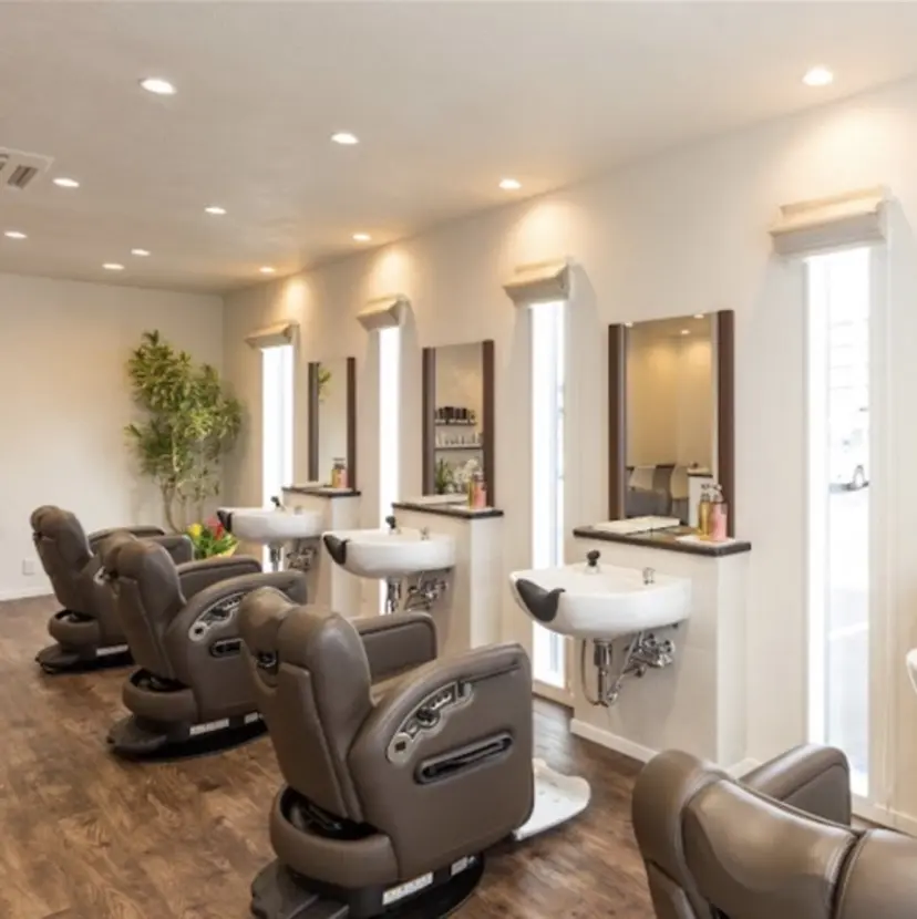 木村 慎馬の掲載