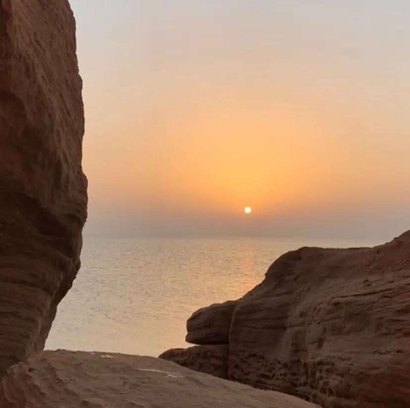 飯野 ゆめかの掲載