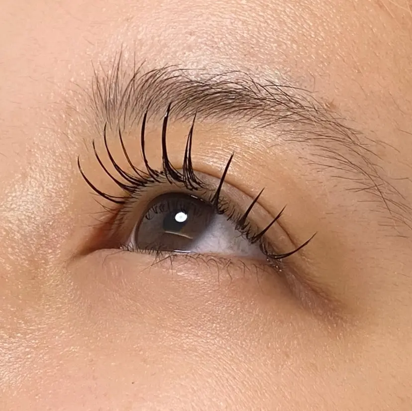 渡部 由来の掲載