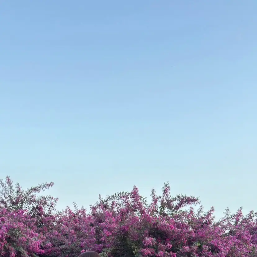 🪡was aida🪡の掲載