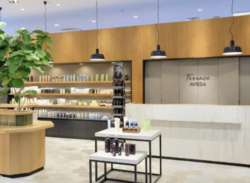 高山 実梨の掲載