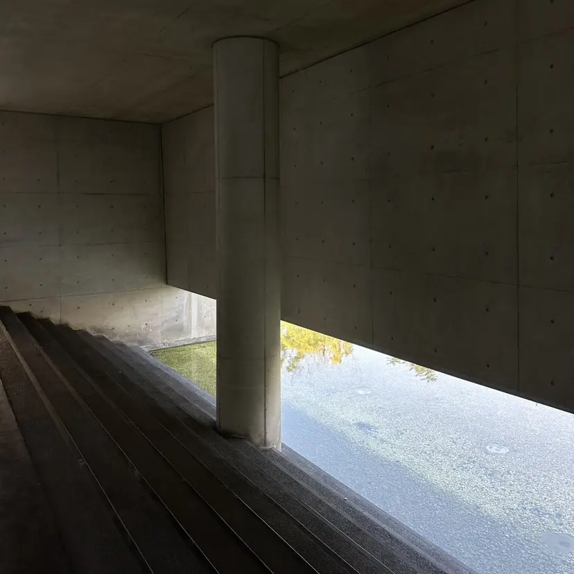 石原 怜那の掲載