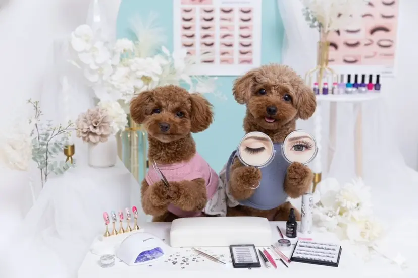 UnFLAIR 東新宿店の掲載