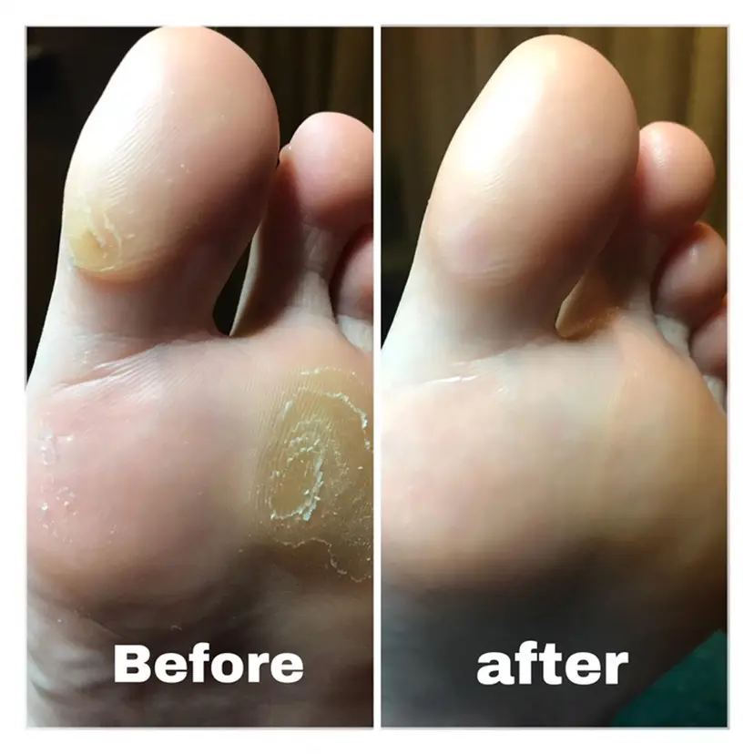 enomoto yukoの掲載