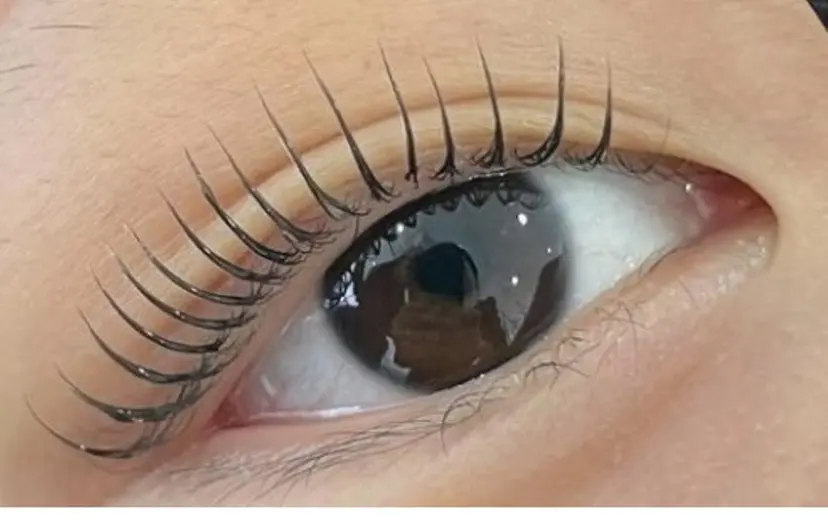 草野 元子の掲載