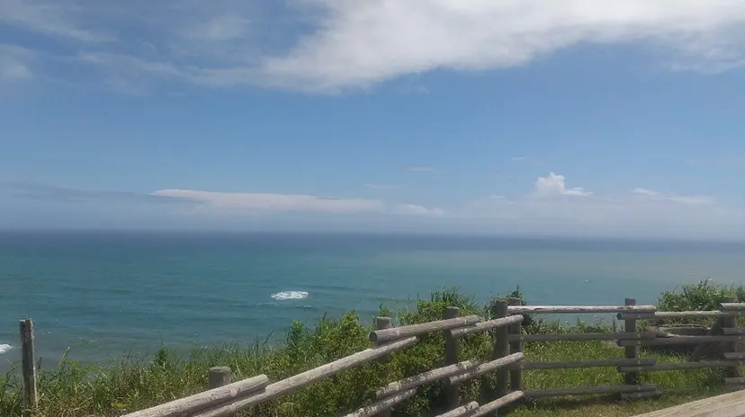 もり なこの掲載