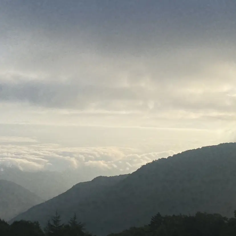 ナホ/ハイトーン/ ブリーチ/ヘッドスパの掲載