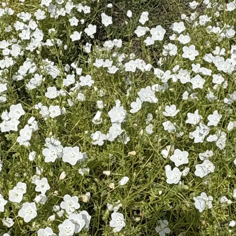 Rioka 栄 | 矢場町の掲載