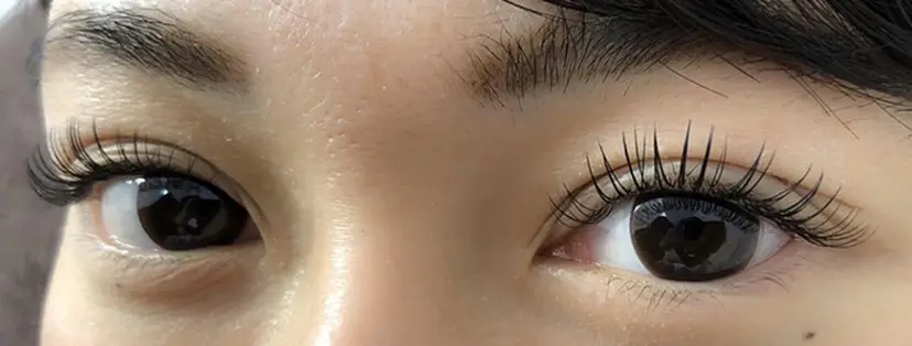 Lupinus  後藤の掲載