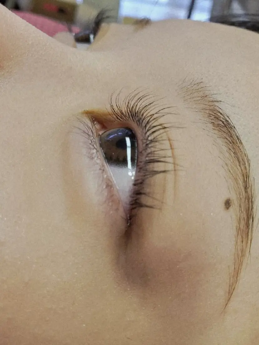 MONREVE モンレーヴの掲載