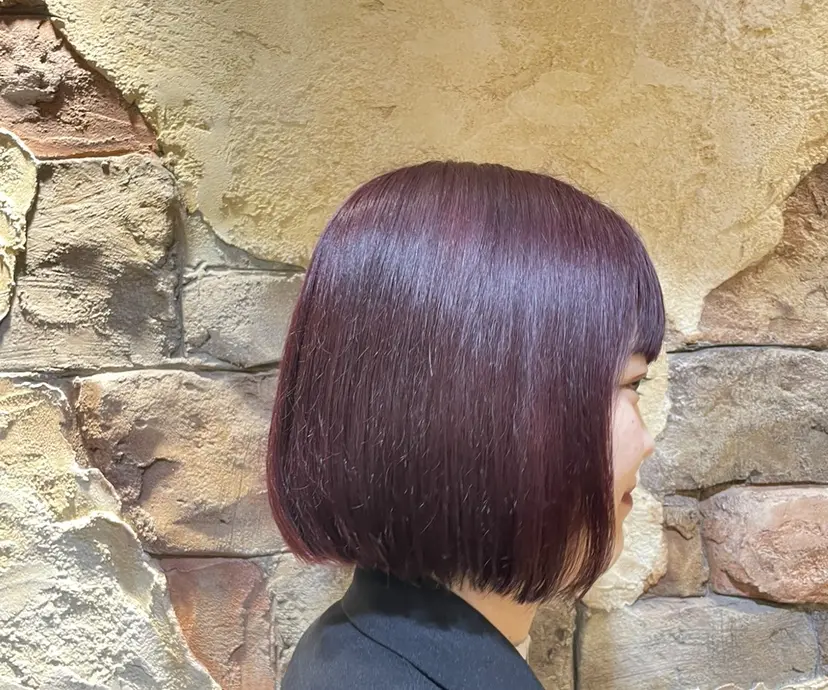 クレドガーデン柏 あやみの掲載