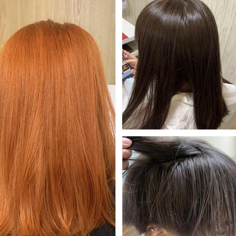 宮坂 愛実の掲載