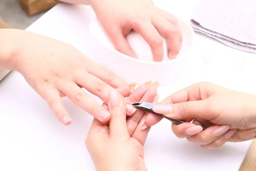 井上 亜衣の掲載