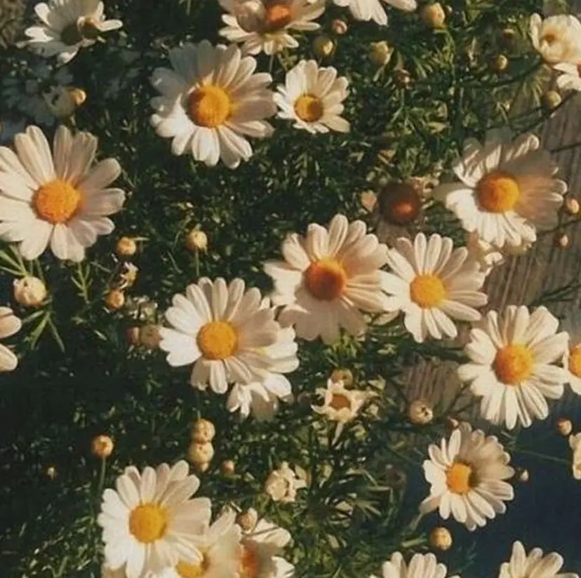 mino🌼🌈 ボブ/透明感カラーの掲載