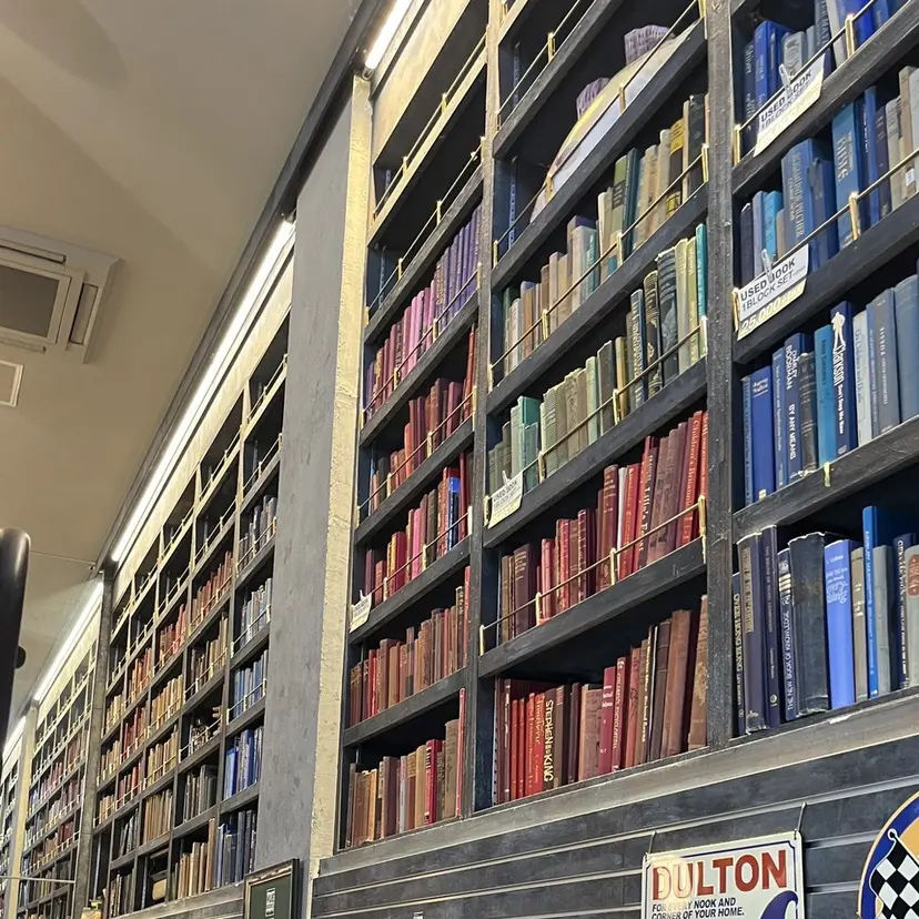 平野 枝莉の掲載