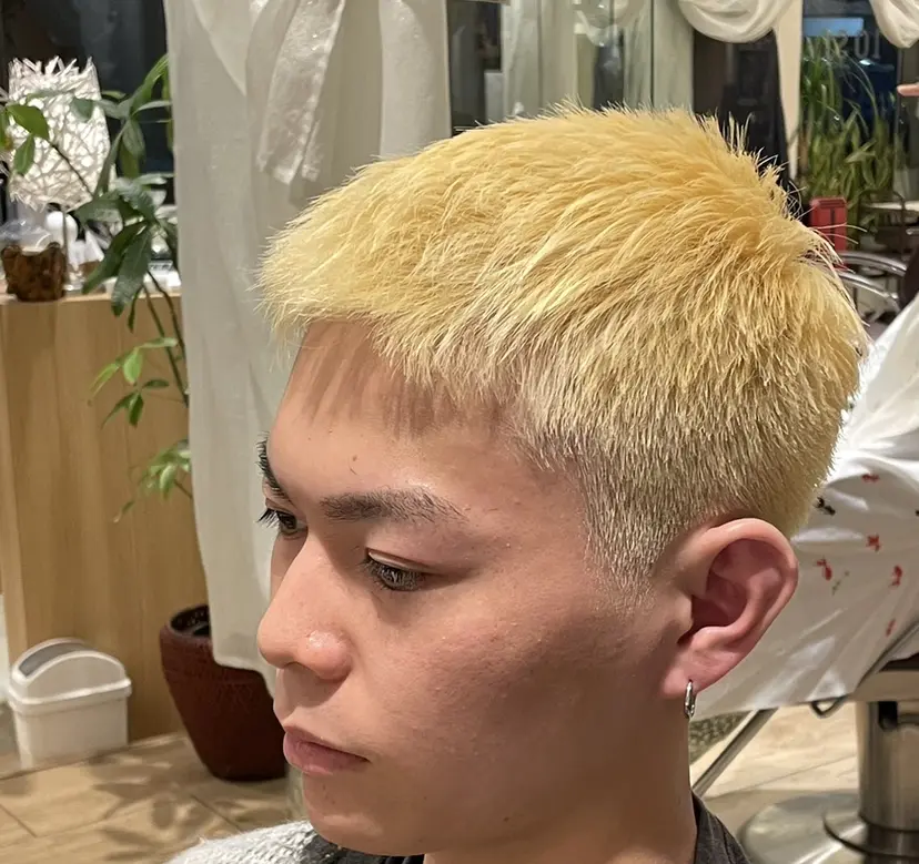 野島 慎次郎の掲載