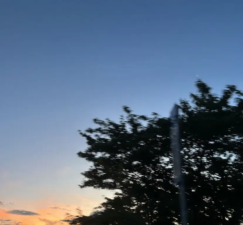 mayu ☺︎ / ワンカラー上永谷の掲載