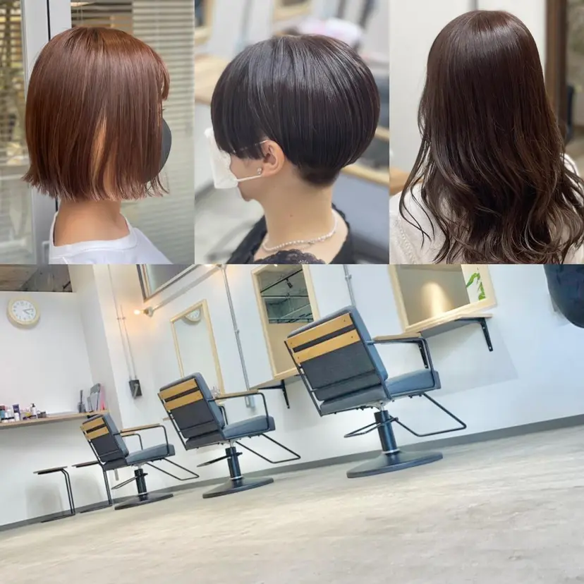 THE DAY 木村　敏之の掲載